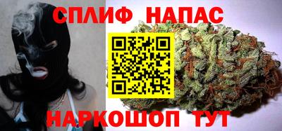 прущие крисы Бийск