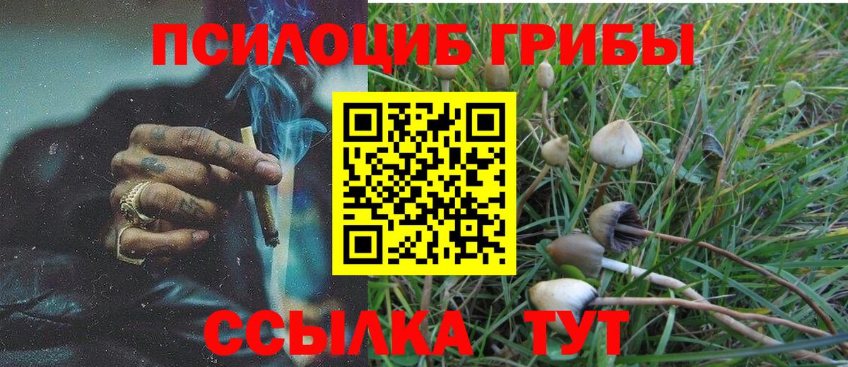 Псилоцибиновые грибы ЛСД  закладка  Кисловодск  Вход с VPN 